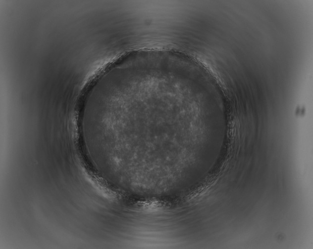 X0000090470688200708031305