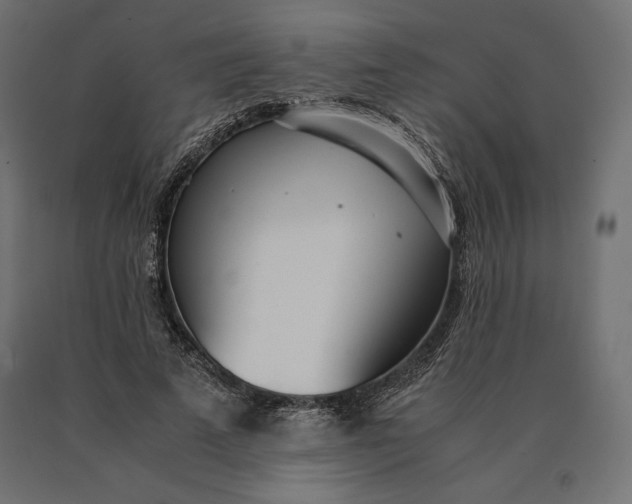 X0000090470689200708031305