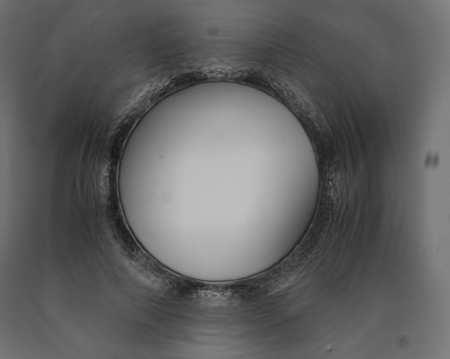 X0000090470690200708031305