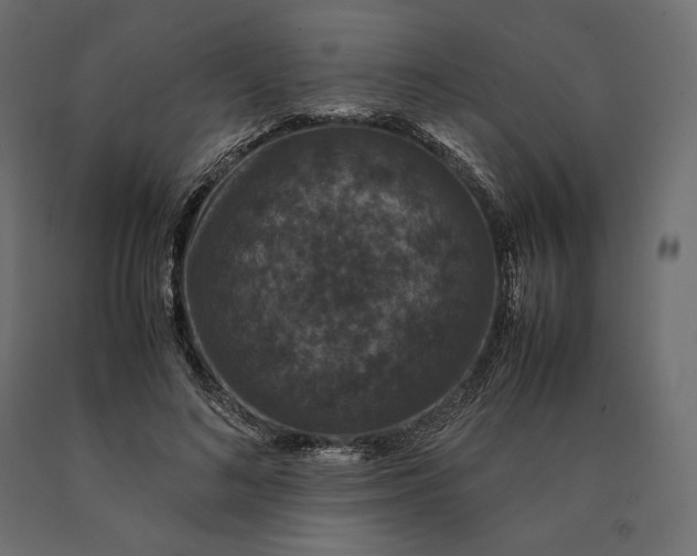 X0000090470692200708031305