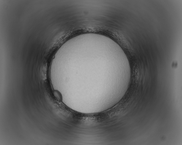 X0000090470694200708031305