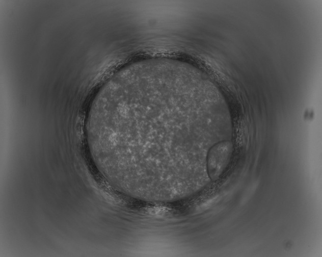 X0000090470695200708031305