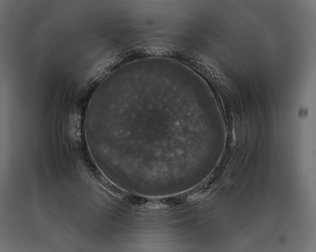 X0000090470696200708031305