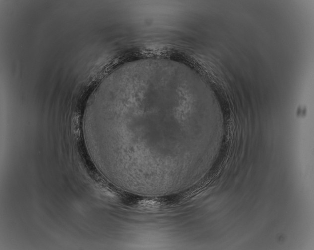 X0000090470699200708031305