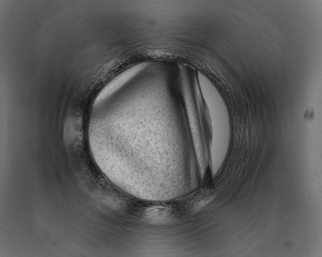 X0000090470700200708031305