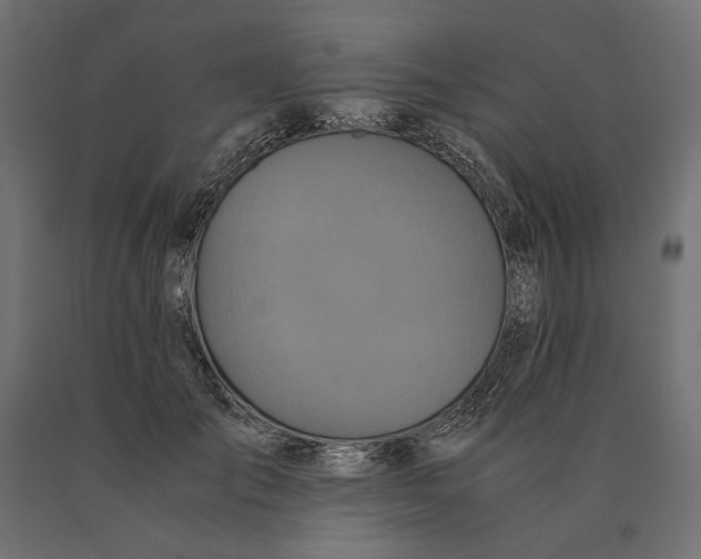 X0000090470701200708031305