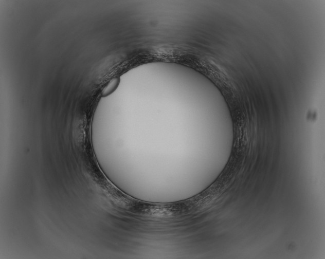 X0000090470702200708031305