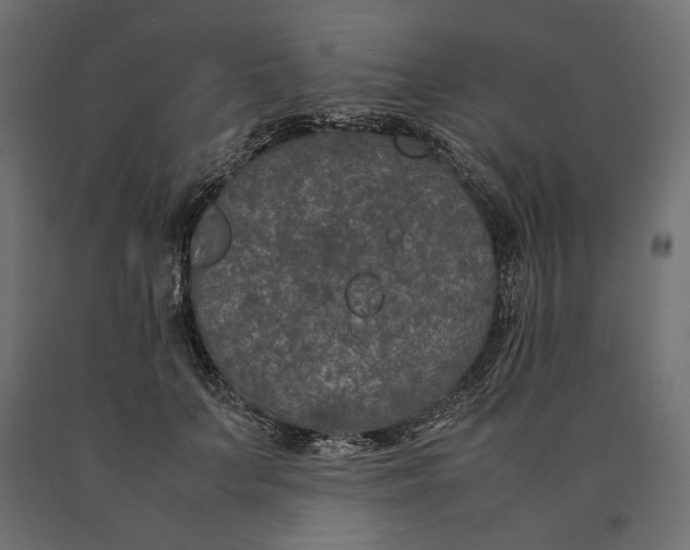 X0000090470703200708031305