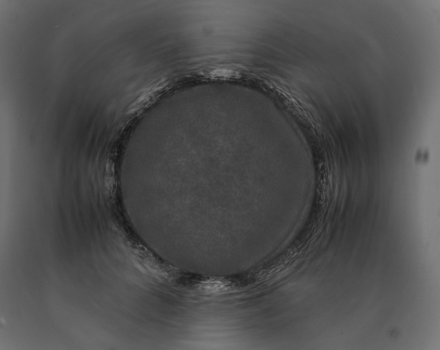 X0000090470704200708031305