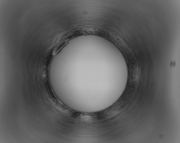 X0000090470706200708031305