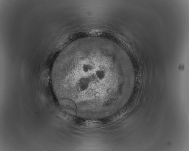 X0000090470707200708031305