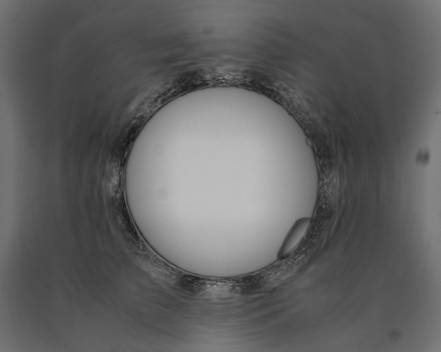 X0000090470709200708031305