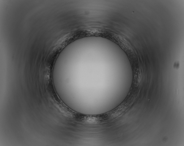 X0000090470710200708031305