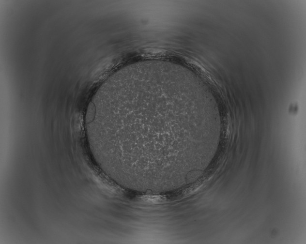 X0000090470711200708031305