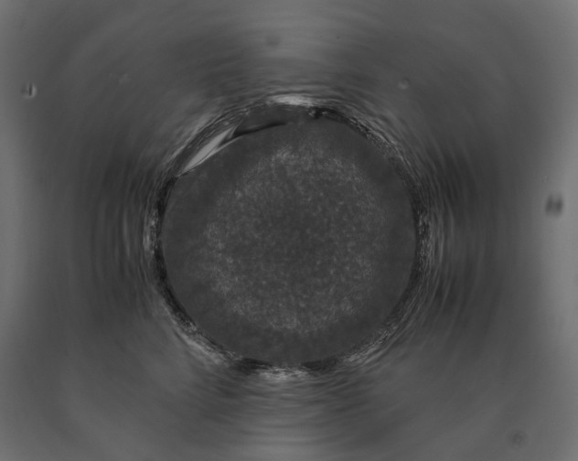 X0000090470712200708031305