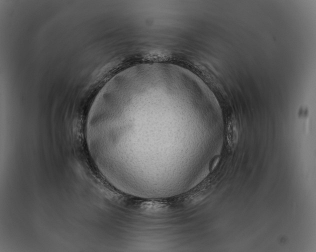 X0000090470714200708031305