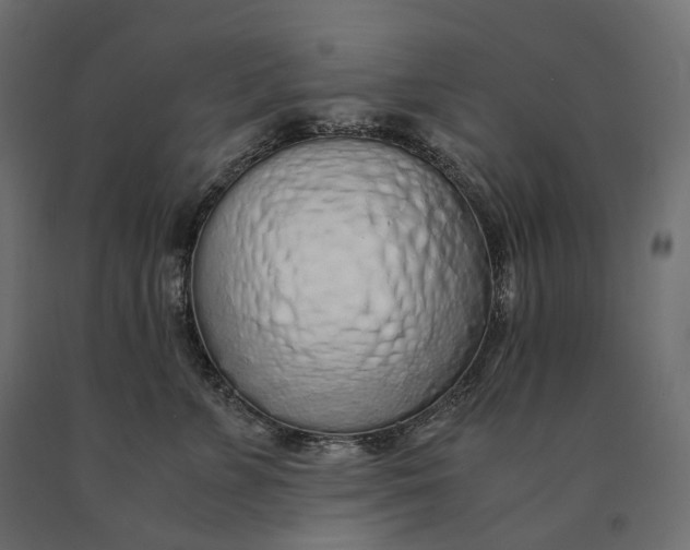 X0000090470715200708031305