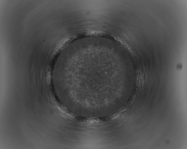 X0000090470716200708031305