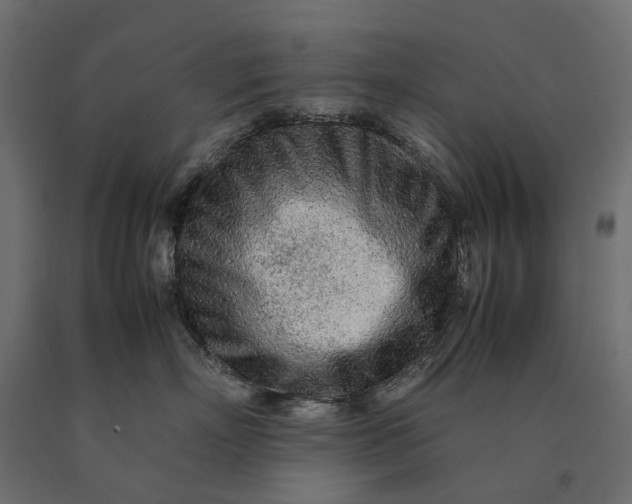 X0000090470718200708031305