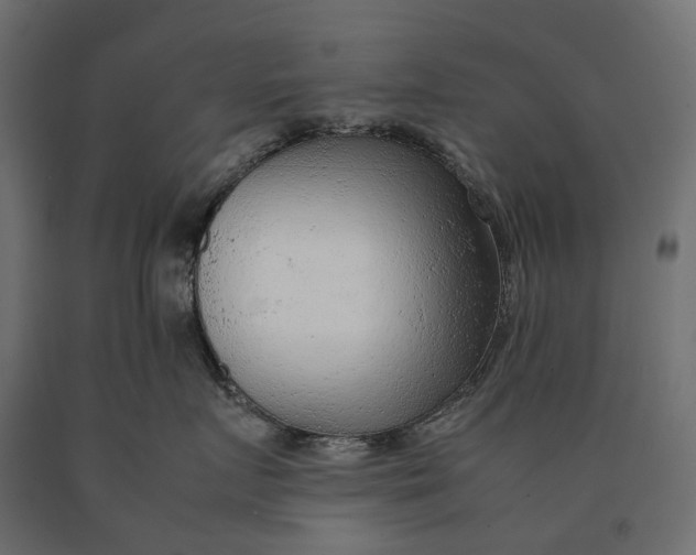 X0000090470719200708031305