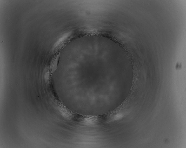 X0000090470720200708031305