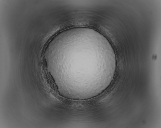 X0000090470721200708031304