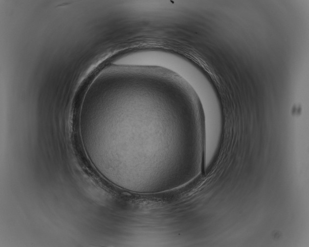 X0000090470722200708031304