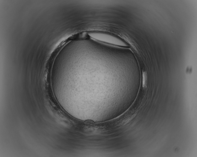 X0000090470723200708031304