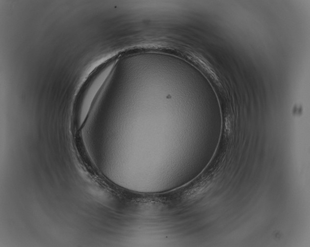 X0000090470724200708031304