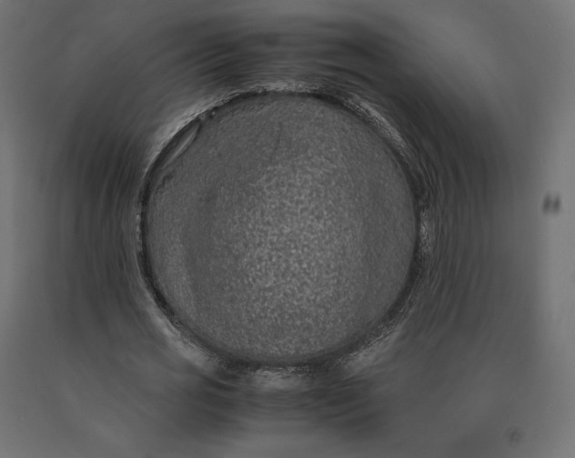 X0000090470725200708031304