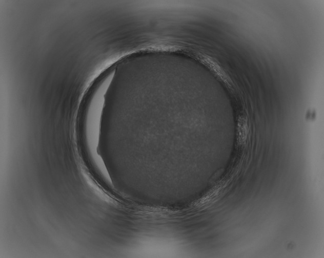 X0000090470726200708031304