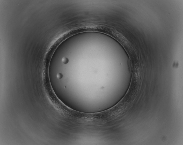 X0000090470728200708031304