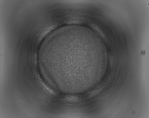 X0000090470729200708031304