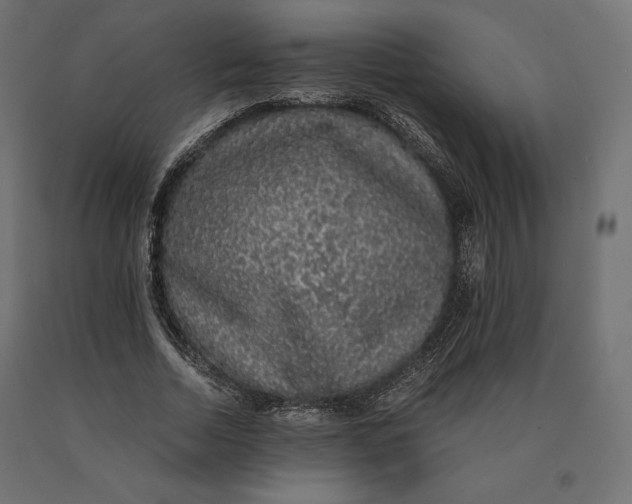 X0000090470730200708031304