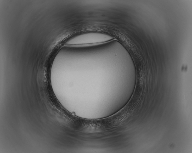 X0000090470731200708031304