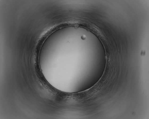 X0000090470732200708031304