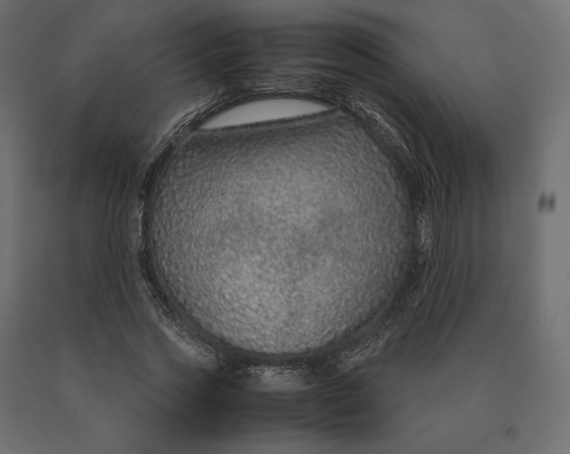 X0000090470733200708031304