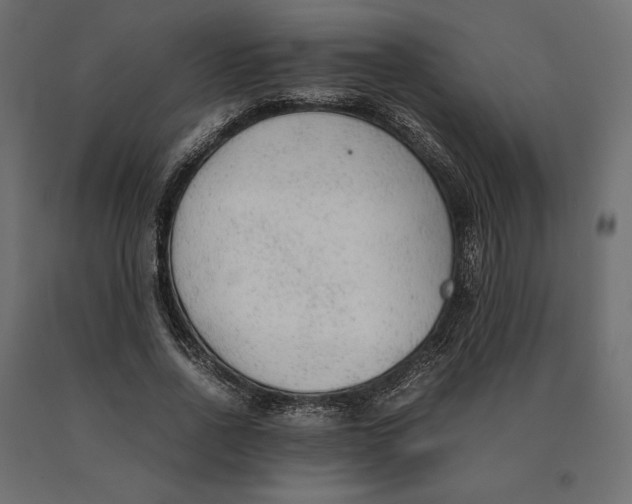 X0000090470734200708031304