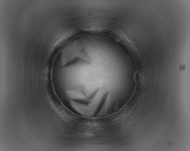 X0000090470735200708031304