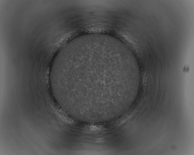 X0000090470737200708031304