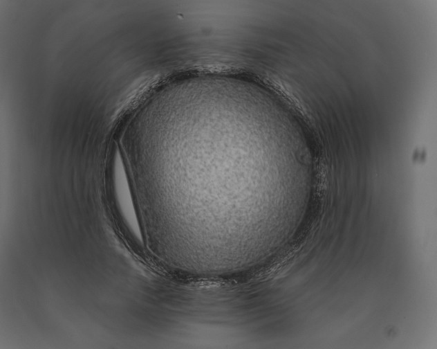 X0000090470738200708031304