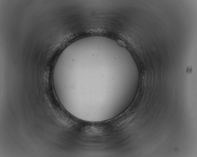 X0000090470739200708031304