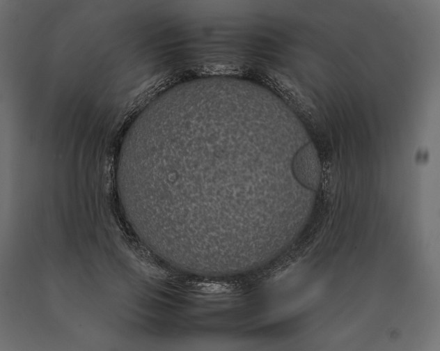 X0000090470741200708031304