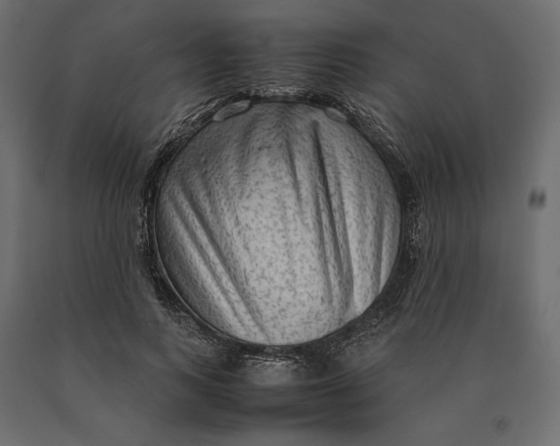 X0000090470743200708031304