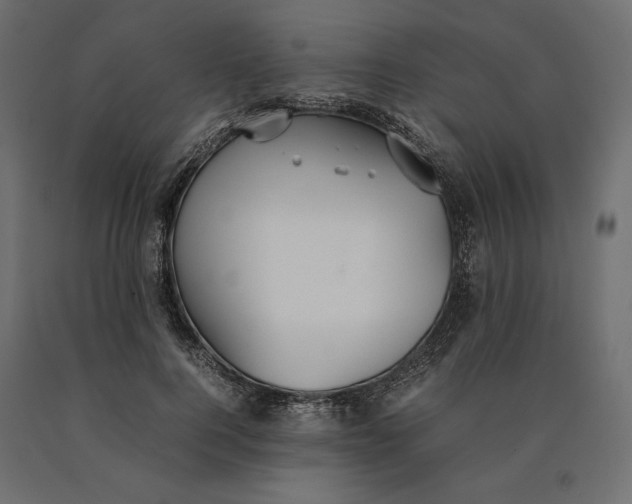 X0000090470744200708031304