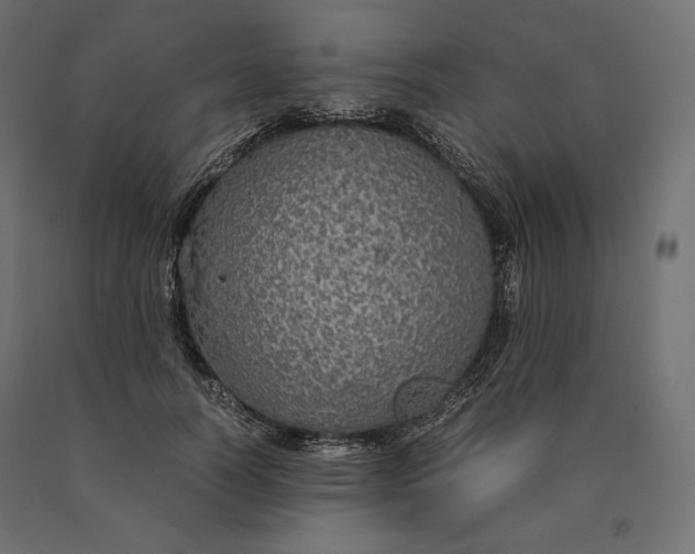 X0000090470746200708031304