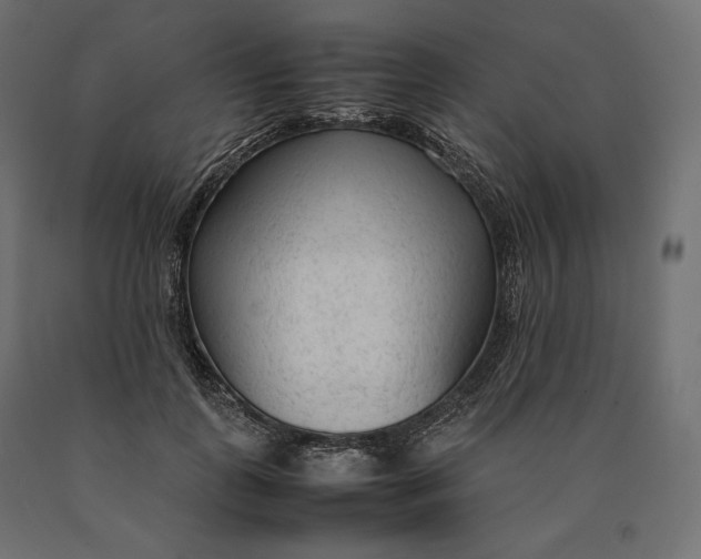 X0000090470747200708031304