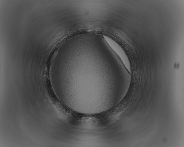 X0000090470748200708031304