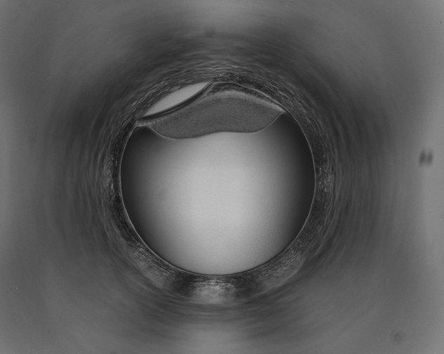 X0000090470754200708031304