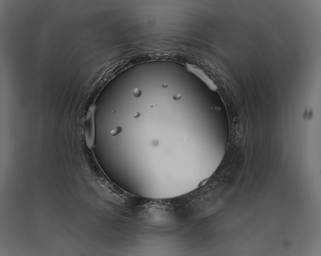 X0000090470756200708031304